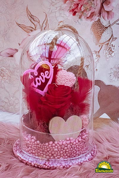 Rose éternelle rouge sous cloche - style St Valentin